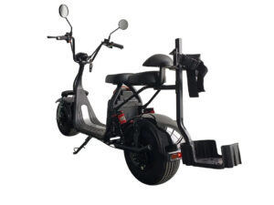 Ooboo GS2 Wide 2-Wheel Golf Scooter